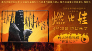 天天碰视频