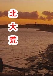 亚洲国产成人在线观看