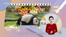 亚洲一区在线免费观看